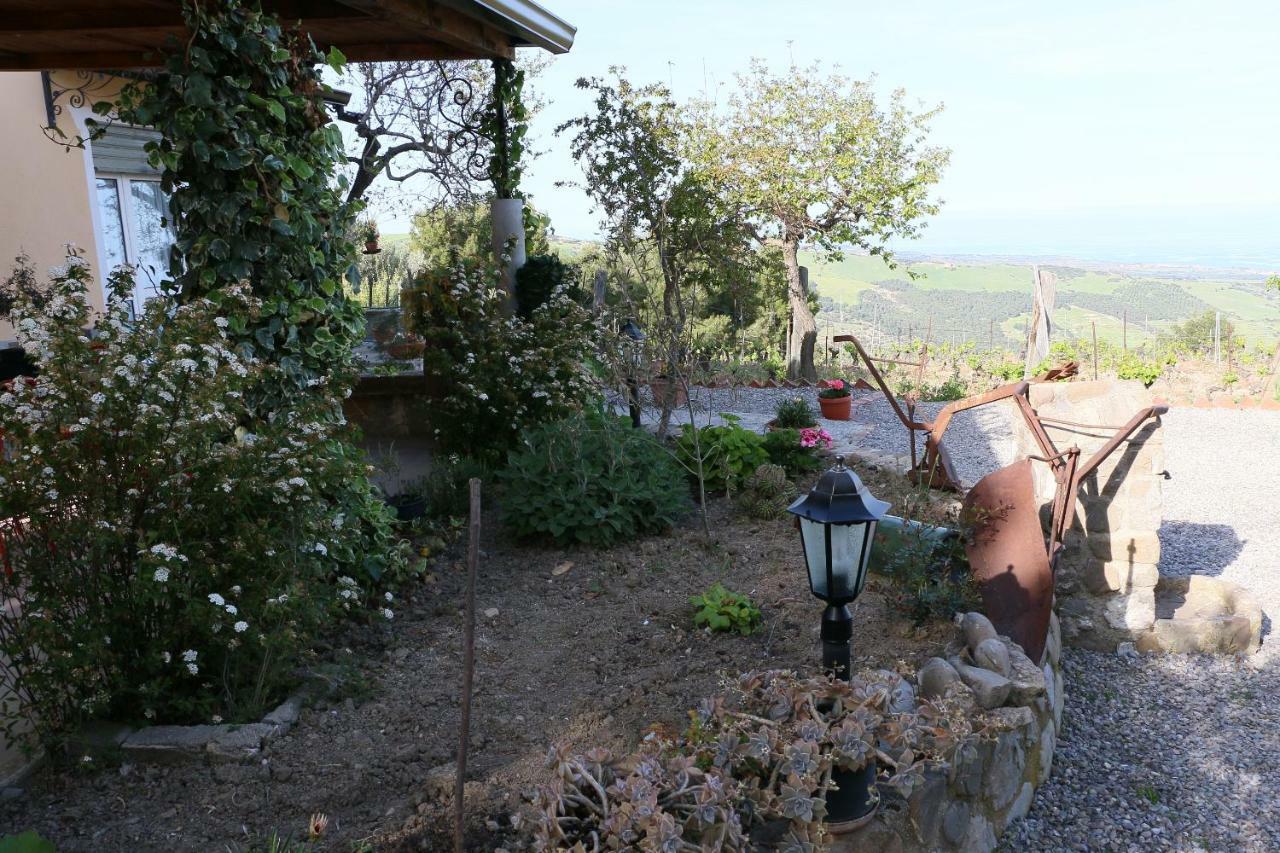 B&B Il Vigneto Trebisacce Exterior foto