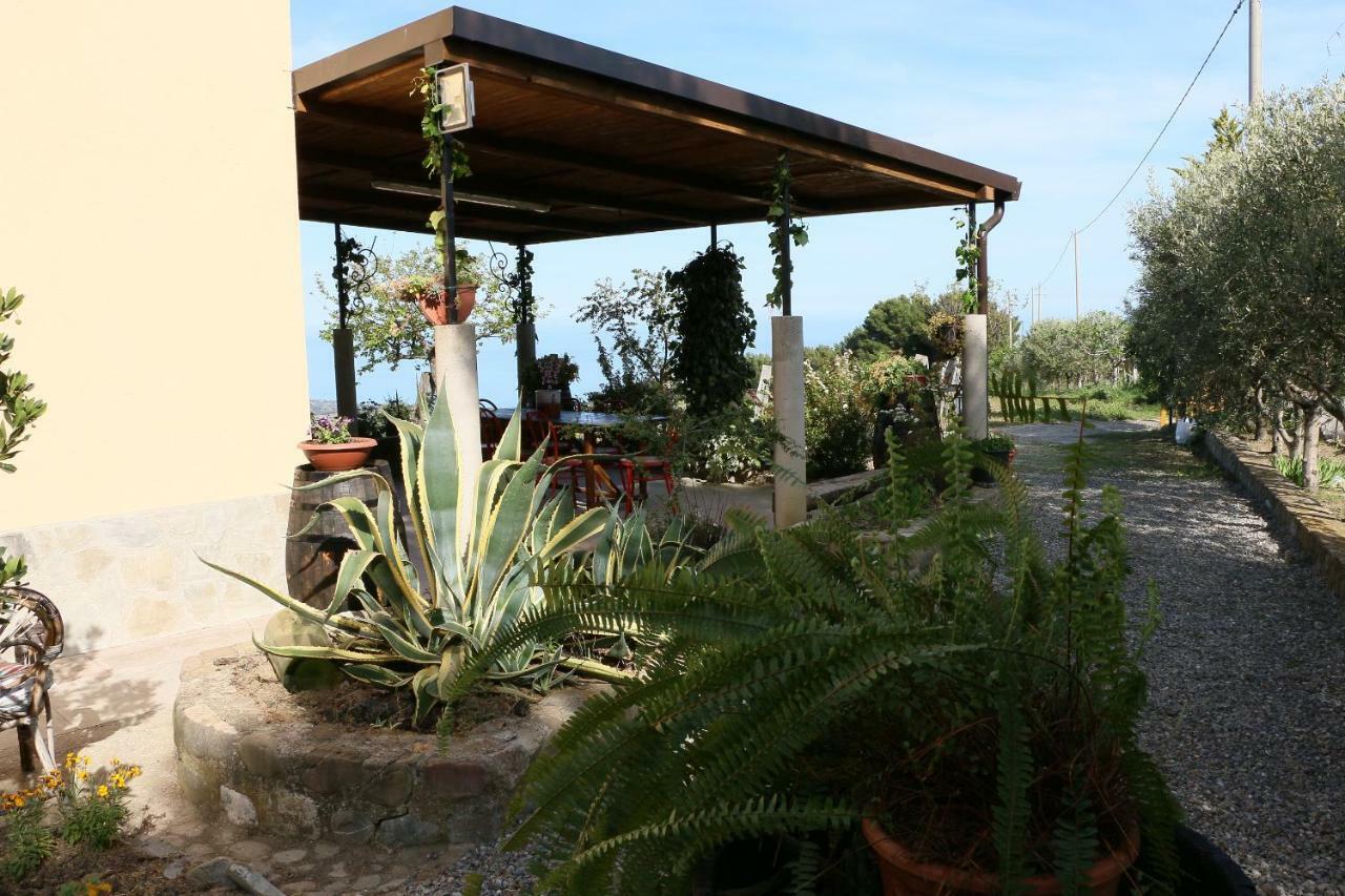 B&B Il Vigneto Trebisacce Exterior foto